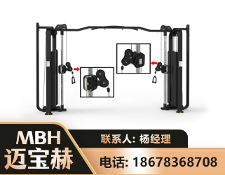 崇左大飞鸟训练器