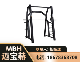 崇左史密斯机